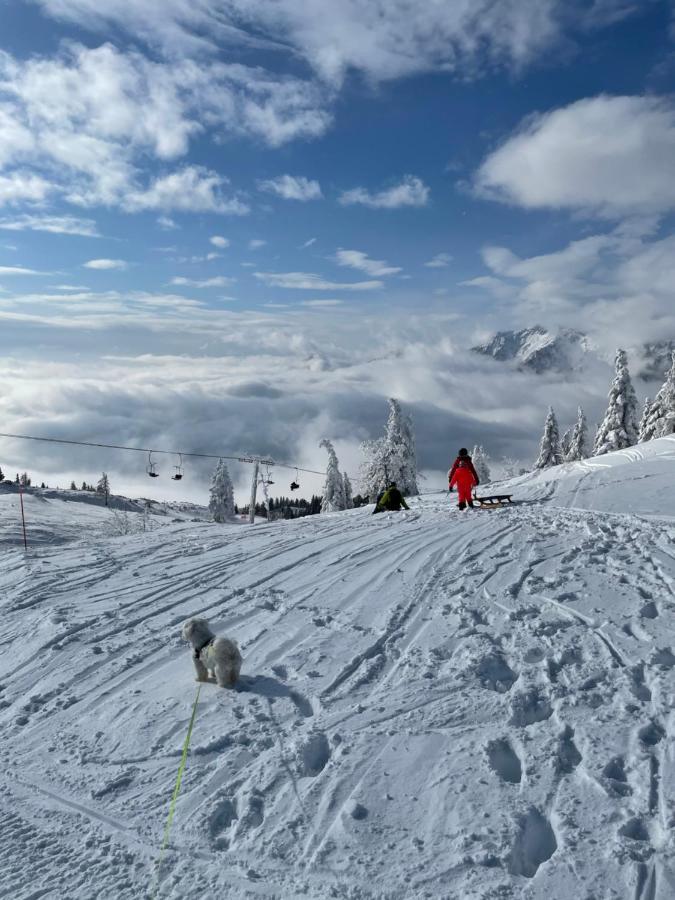 Villa Velika Planina Koca Kekec à Stahovica Extérieur photo